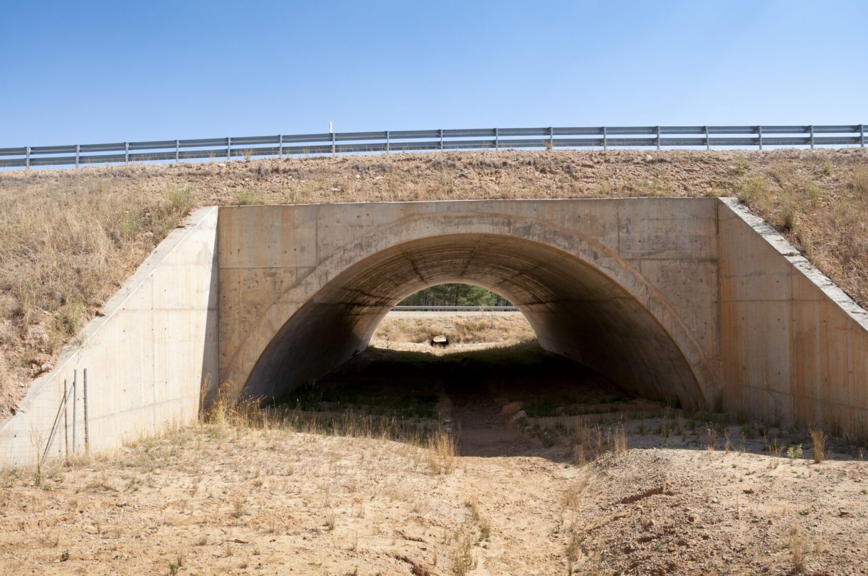 Tucson Plans Several Wildlife Crossings to Decrease Road Accidents