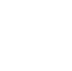 Home 18 Icon showing an inspection report